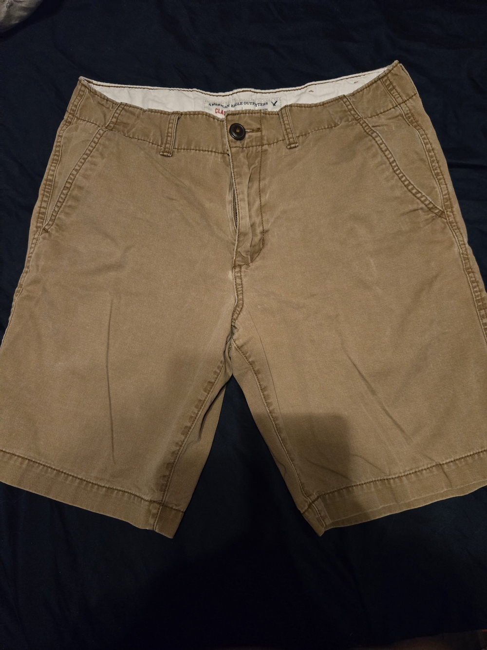 American Eagle Outfitters Khaki Flat-Front Men's Shorts
